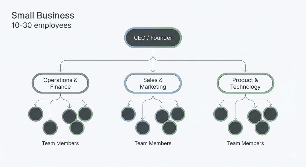 Sơ đồ cấu trúc team hiệu quả cho doanh nghiệp nhỏ 10-30 nhân sự