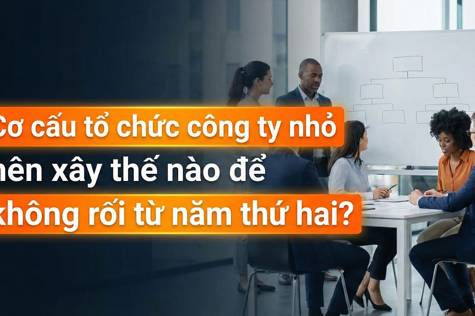 An Phạm Nhân Sự chia sẻ cách xây cơ cấu tổ chức công ty nhỏ rõ ràng và hiệu quả