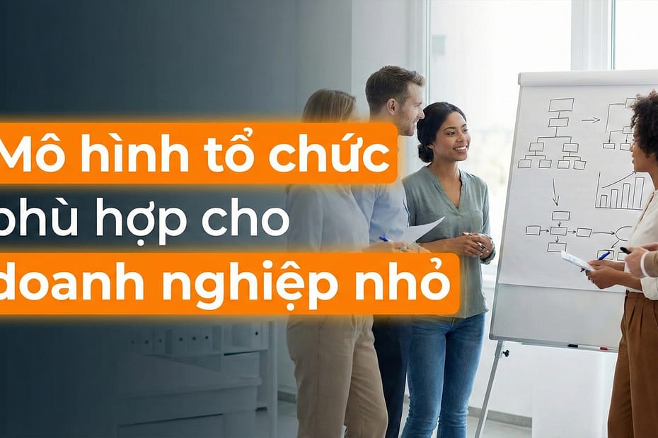 An Phạm chia sẻ mô hình tổ chức phù hợp cho doanh nghiệp nhỏ